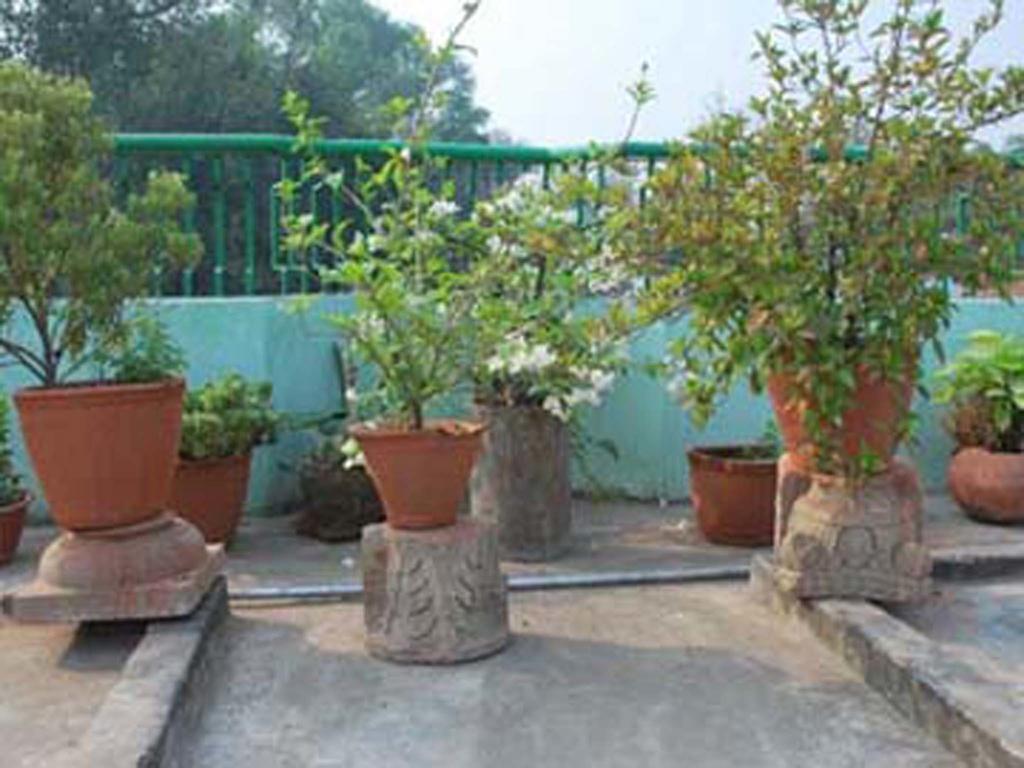 Ganges View *